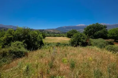 a field of grass with trees and mountains in the background at MM Villa in Chania Town
