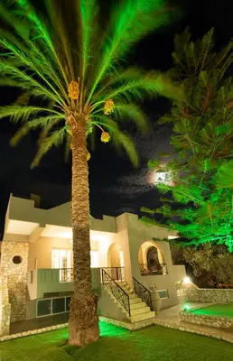a palm tree in front of a house at night at Casa Regno in Ayiá