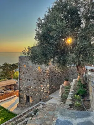 a stone wall with a tree next to the ocean at INO III Domus SWIMSPA by Amigdalokefali Elafonissi in AmigdhalokeFálion