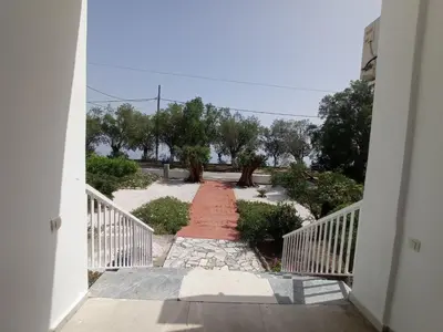 a staircase leading to a walkway with trees and bushes at Zorbas in Sougia