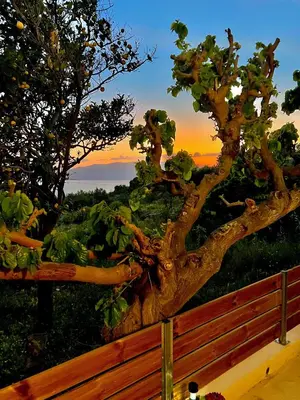 a tree behind a fence with a sunset in the background at Poseidon Apartments in Kissamos