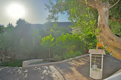 a garden with a tree and a bird bath at *Haritos traditional Apt-5min from Falassarna Bch* in Kissamos