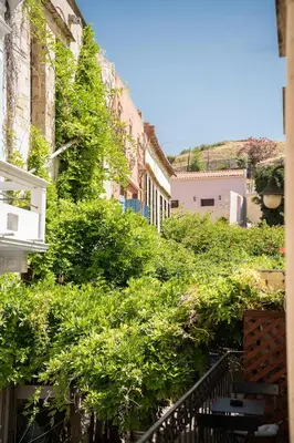 a building with green plants on the side of it at Chrisselen Palazzo Colombo in Chania Town