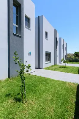 a plant in the grass in front of a building at Katakis LuxuryVillas in Chania Town