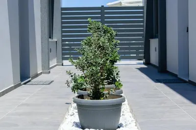 a plant in a large pot on a sidewalk at Katakis LuxuryVillas in Chania Town