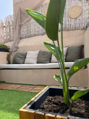 a plant in a pot in front of a couch at Valentina's Luxury House in Chania Town