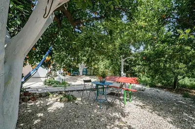 a table and a chair under a tree at Olga's Organic garden Home for a couple! with Wifi & AC in Chania Town