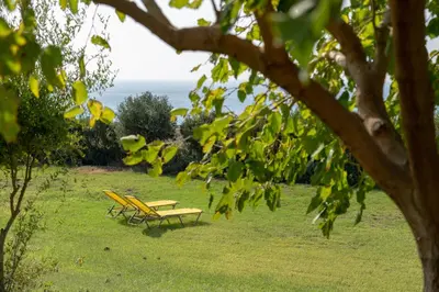 two yellow chairs and a bench in the grass at Sunset Villas in Falasarna
