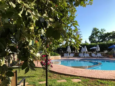 a swimming pool with chairs and a tree at Lefka Apartments in Parigoría