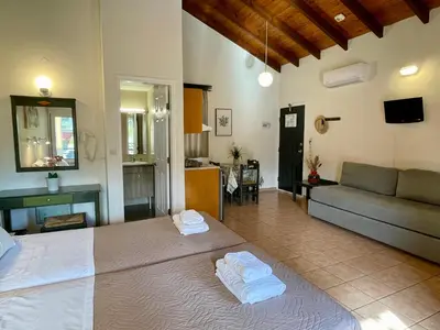 a bedroom with a large bed and a living room at Theos Holidays Apartments in Kato Daratso