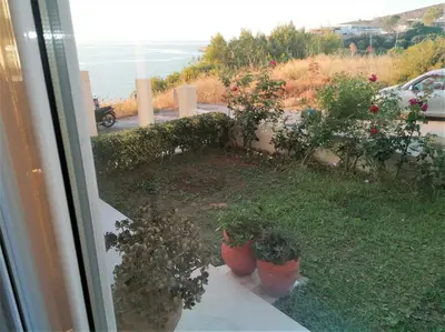 a view of a yard with two potted plants at Emerald Apartment 2 Halepa in Chania Town