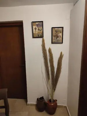 a hallway with a potted plant and pictures on the wall at Grandma Agatha & Virginia's stonehouse in Kefálion