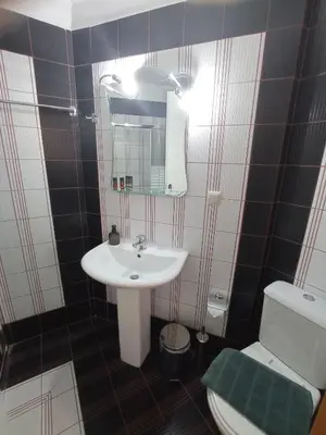 a bathroom with a sink and a toilet and a mirror at Tasos Seagull apartments in Chania Town