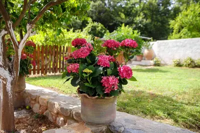 a vase filled with pink flowers on a stone wall at Villa 4 DESTINA in Élos