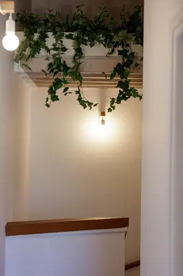 a plant hanging from a ceiling in a room at Villa Seashell -Wonderful newly renovated villa on the beach in Galatás