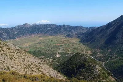an aerial view of a mountain valley with trees at Hani Kastania - Chania retreat for families and groups for holidays and workshops in Sémbronas