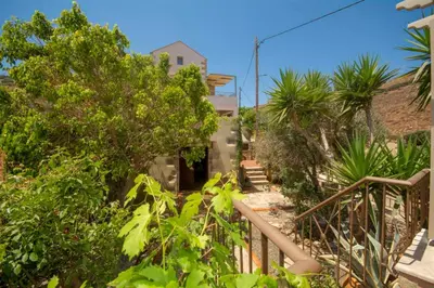 a stairway leading up to a house with trees at STAMATOGIANNIS Traditional Apartments in Kalivianí