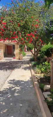 a tree with red flowers on it next to a sidewalk at Villa Anthemida Chania in Ayiá
