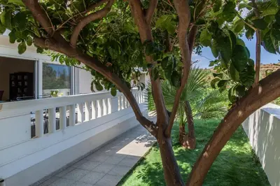 a tree on the porch of a house at ΠΑΡΑΘΑΛΑΣΣΙΟ in Ayiá
