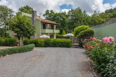 a driveway leading to a house with flowers at Arhontika Villas in Élos