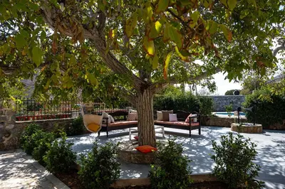 a tree with two chairs and a couch under it at Archodiko Villa Imbros in Ímbros