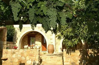 a building with an archway and a vase in a tree at Sarris House in Xirokámbion
