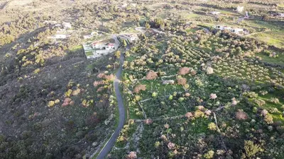 an aerial view of a road in a forest at Zafeiria's Suite in Vamos
