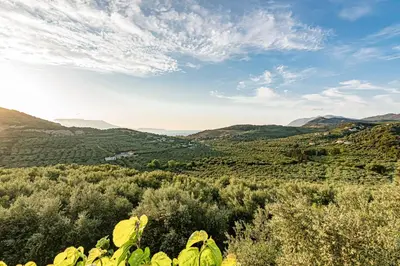 a view of a valley with trees and mountains at Rikanthos Stone Sea View Apartment Ι in Falelianá