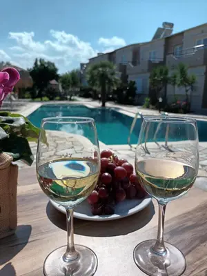 two wine glasses sitting on a table with a plate of grapes at Secret Garden Hotel in Maleme