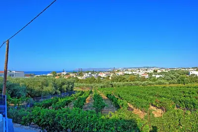 a view of a vineyard with a city in the background at Villa Popi - modern villa with private pool by PosarelliVillas in Galatás