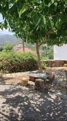 a bench sitting under a tree on a hill at Afrodite's House-Restaurated Oil Factory in Ayiá