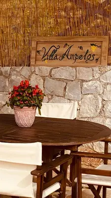 a table with a pot of flowers on a stone wall at Ampelos Cretan Villa - Private Pool & Heated Ozone Jacuzzi in Gerolakkos
