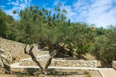 a tree in front of a stone wall at Luxury TreeHouse - A breath away from the beach in Loutrákion