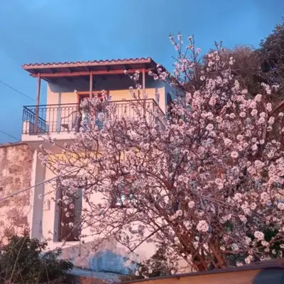 Stefanis traditional house - Kampos