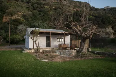 a small white house with a tree in the yard at jAne's house in Ravdhoúkha