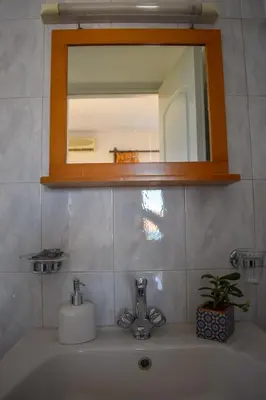 a bathroom sink with a mirror and a plant on it at Giannis & Maria Gramvousaki Apts in Agia Marina Nea Kydonias