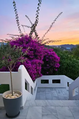 a potted plant on a white fence with purple flowers at Giannis & Maria Gramvousaki Apts in Agia Marina Nea Kydonias
