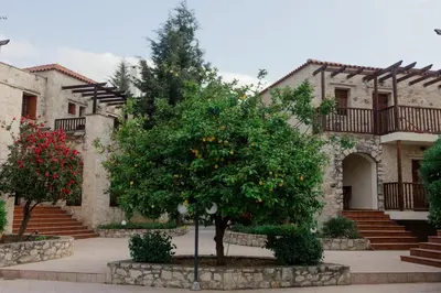 an orange tree in front of a building at Retreat Homes Apokoronas in Douliana