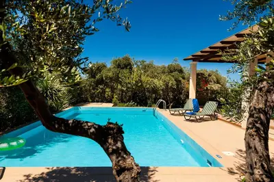 a swimming pool with two chairs and a tree at Villa Vallia - Villa Marina in Kato Galatas