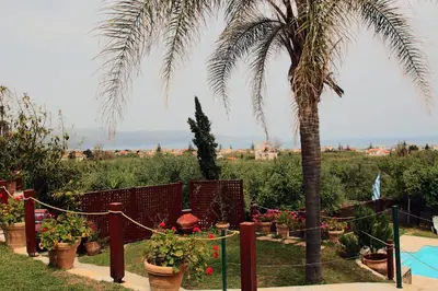 a garden with potted plants and a palm tree at Villa Palma in Maleme