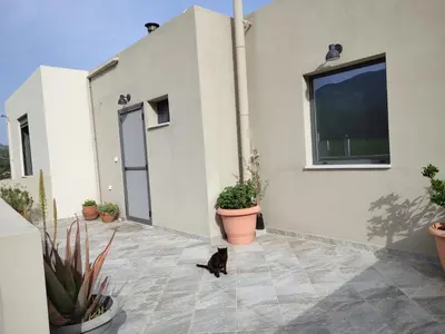 a black cat sitting on a patio outside of a building at Villa Lakki's Ori in Lákkoi