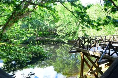 a bridge over a body of water with trees at Mouri Village in Aïkiryiánnis