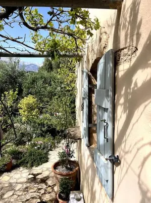 an open door of a house with a potted plant at Maison Théia, entre mer et montagne Samonas in Samonás