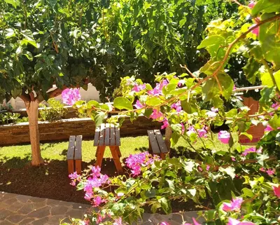 a garden with two benches and pink flowers at Stelios Studios Sougia in Sougia