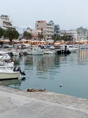 a group of boats are docked in a harbor at Sea U in Chania Town