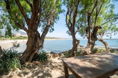 a wooden bench sitting next to a beach with trees at Mylos Seaside Experience in Frangokastello