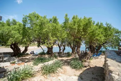 a group of trees on the beach near the water at Mylos Seaside Experience in Frangokastello
