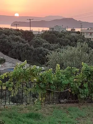 a view of a garden with the sunset in the background at Anestis Ioanna Villa in Daratso