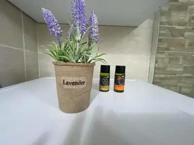 two bottles of liquids sitting on a table with a potted plant at Chania Nice Apartment 3 in Chania Town