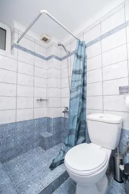 a bathroom with a toilet and a shower at ''Meraviglia casa'' Irida apartment in Chania Town
